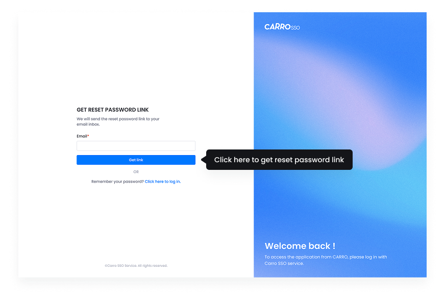 Get Reset Password Link